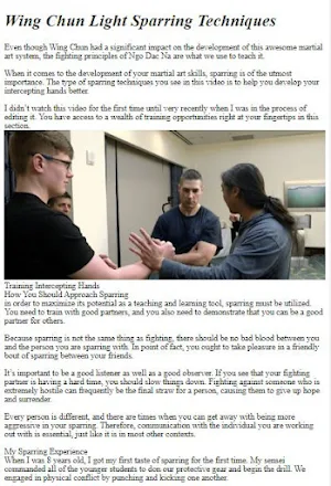 Wing Chun Fight Tutorial Screenshot 2