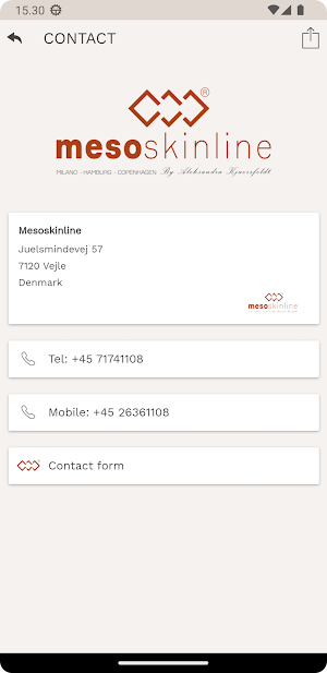 Mesoskinline EN Screenshot 2