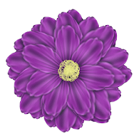 Zifcare Self Development: Psychology & Motivation