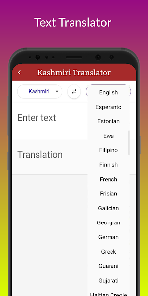 Kashmiri Translator Screenshot 3