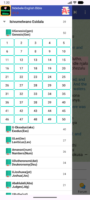 Ndebele English Audio Bible Screenshot 1