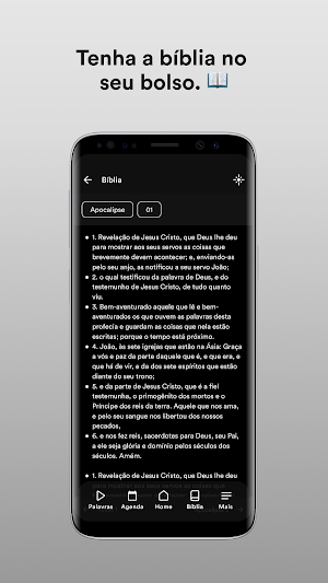 IMR Catalão Screenshot 2