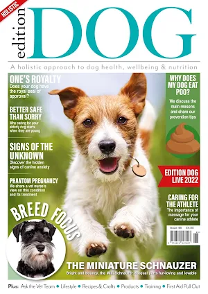 Edition Dog Magazine screenshot 1