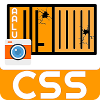 Container Survey System (CSS)