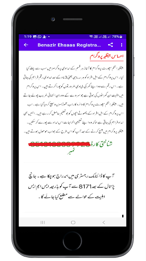 Benazir Support 2024 Survey Screenshot 2
