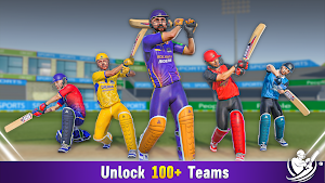 Indian Cricket League 25 Screenshot 0