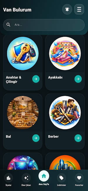 Van Bulurum Screenshot 2
