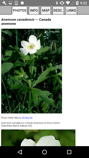 Ohio Wildflowers Screenshot 3
