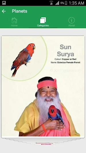 SGS Birds - Shukavana Screenshot 2