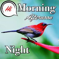 Good Morning to Night Wishes