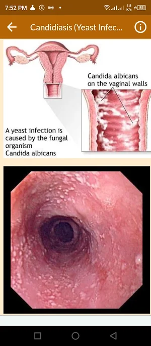 Clinical Dermatology Screenshot 2