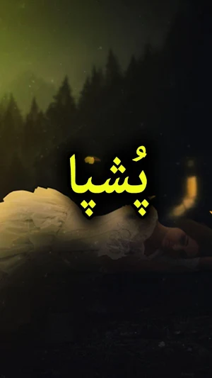 Pushpa Novel by Shahzaib Butt - Offline Urdu Novel Screenshot 0