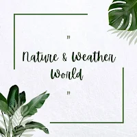 Nature and Weather World