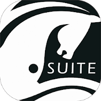ePalatine SUITE