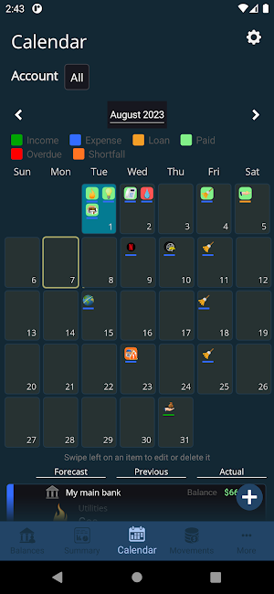 My Accounts and Expenses Screenshot 1