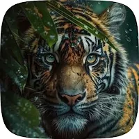 Tiger wallpaper