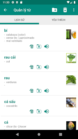 Vietnamese Spanish Dictionary Screenshot 3