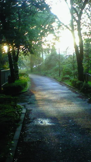 g23:Test_FF_03 screenshot 1