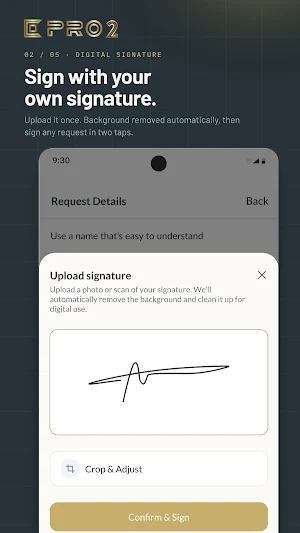 PRO2 (Project Professional) Screenshot 2