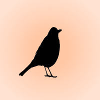 Blackbird Song Sounds