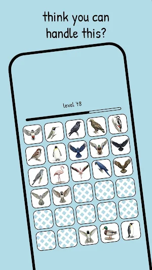 memolki • birds Screenshot 2