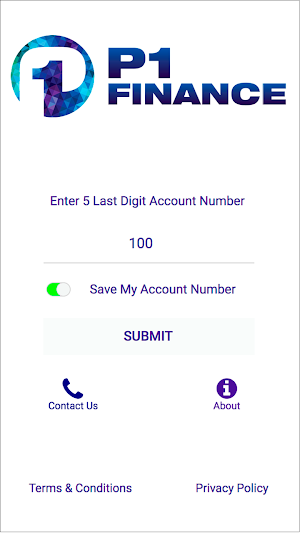 P1 Finance Screenshot 0