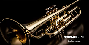 Sousaphone Instrument Screenshot 0