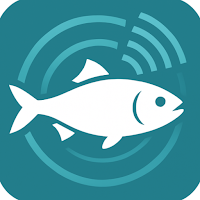 Hilsa Detector