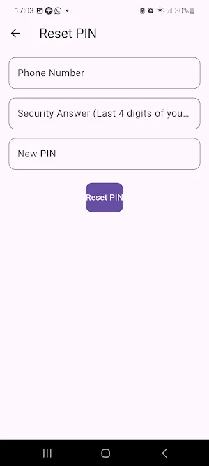 VirtualSafe Screenshot 3