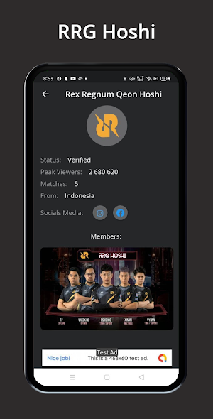 E-Sports Team Screenshot 3