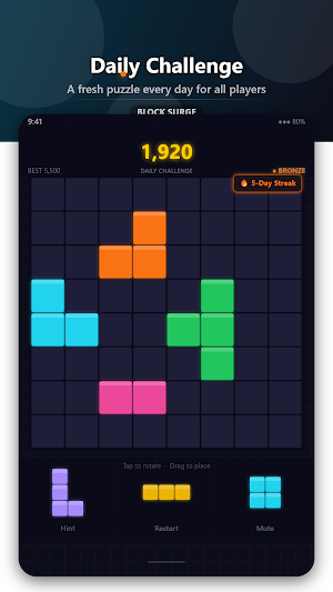Block Surge: Drop Puzzle Screenshot 2