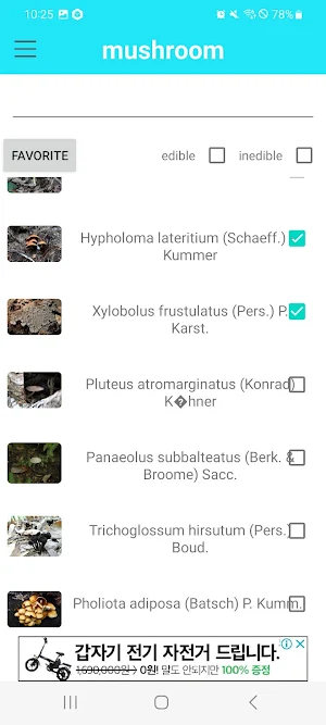mushroom Screenshot 2