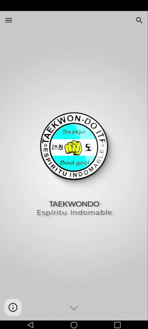 Taekwondo Espiritu Indomable Screenshot 0
