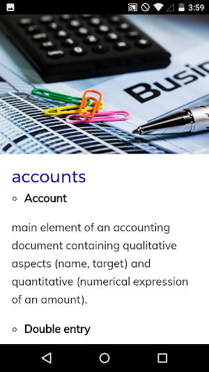 Basic Accounting Course Screenshot 2