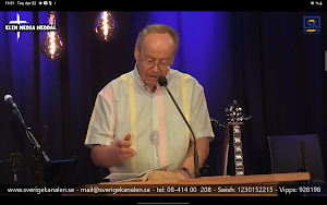 Sverigekanalen Screenshot 3