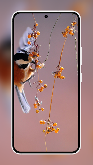 Vivid Wallpaper Screenshot 3