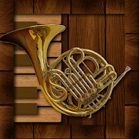Professional French Horn