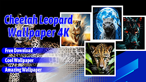 Cheetah Leopard Wallpaper 4K Screenshot 0