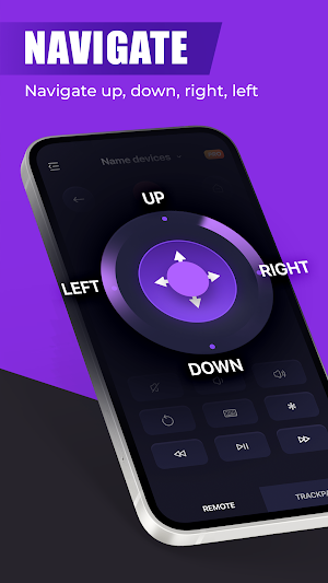 Remote For Roku TV - Roku Cast Screenshot 2