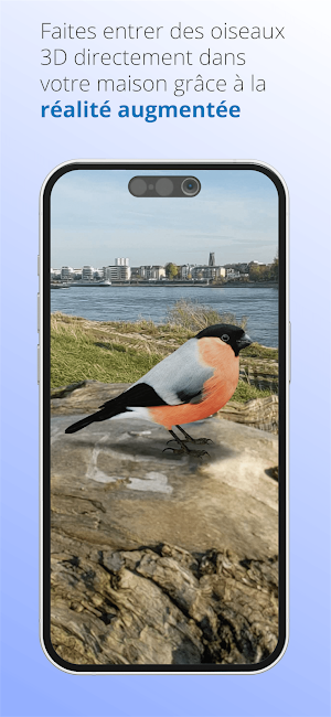 Ois'App - Oiseaux de France Screenshot 3