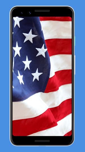 Ultimate USA Flag Wallpapers Screenshot 2