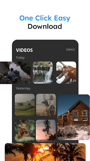 All Video Downloader Screenshot 3