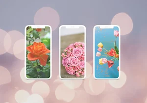 Beautiful Flowers Wallpaper HD Screenshot 3
