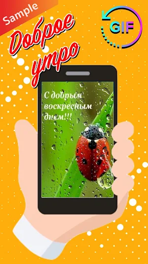 Russian Morning & Night Gifs Screenshot 2