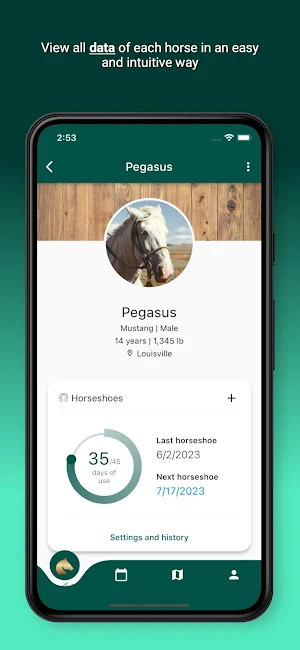 Horsefy: Horses and riding Screenshot 1