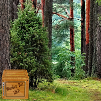 forest tree wallpaper