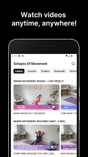 Schayes Of Movement Screenshot 0