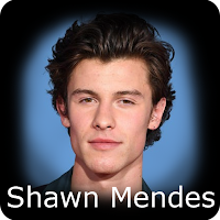 Shawn Mendes:Puzzle,Wallpapers