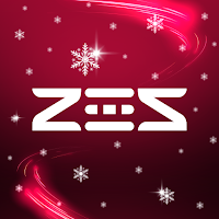 ZES - EV Station Network