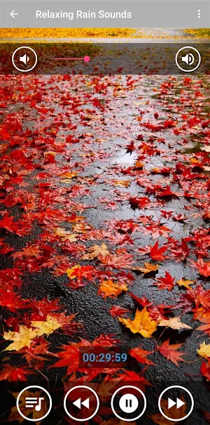 Relaxing Music & Soft Rain Screenshot 0